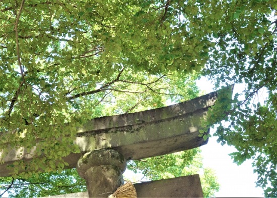 お宮参りお食い初め産着祝着神社お寺