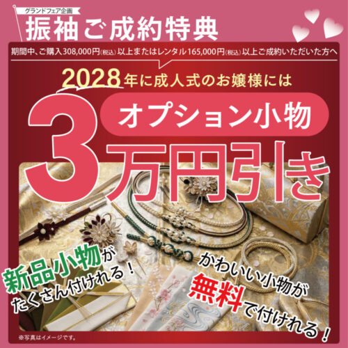 2028年成人対象3万円オプション
